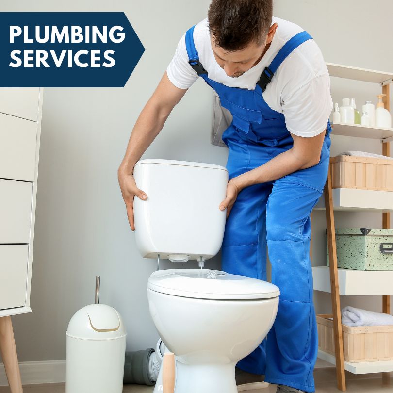 Plumbing Company in Tripoli, IA